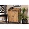 Baxton Studio Rossin Modern and Contemporary Oak Brown Finished Wood 2-Door Entryway Shoe Storage Cabinet, Oak and Black